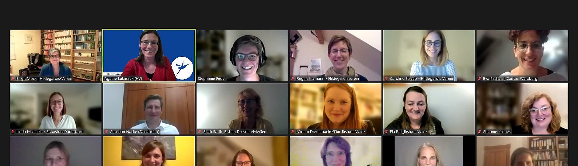 Die Mentees und einige Mentor:innen sowie Programmsteuerungsgruppenmitglieder beim Online-Netzwerkabend.