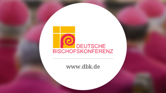 Pressebericht zur digitalen Frühjahrsvollversammlung der Deutschen Bischöfe