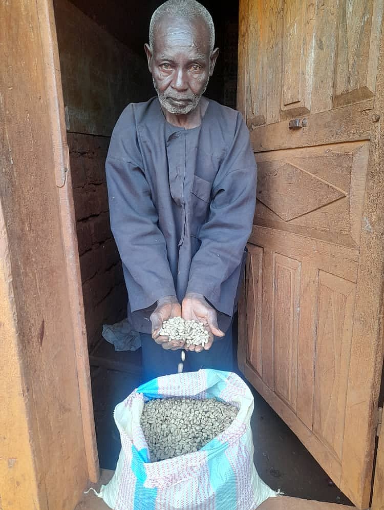 Ein Kaffee-Bauer mit Kaffeebohnen in den Händen